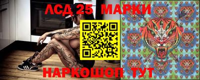 PSILOCYBIN Канаш