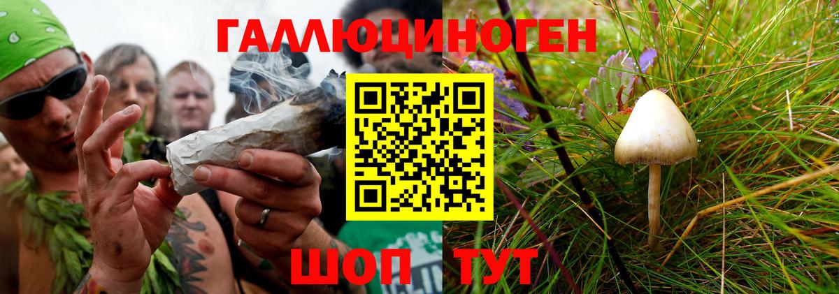 Галлюциногенные грибы GOLDEN TEACHER  даркнет сайт  Кузнецк  Вход с VPN 