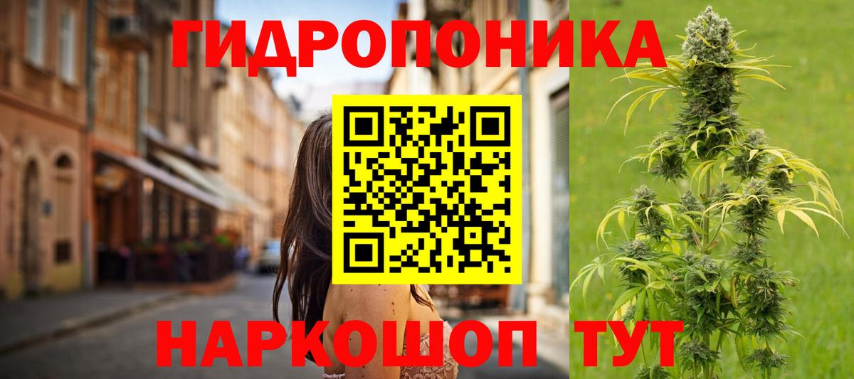 Бошки марихуана VHQ  Вход с VPN  Конопля ГИДРОПОН  Кузнецк  Бошки Шишки гибрид 